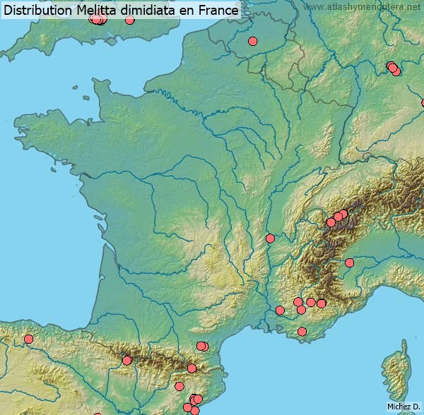 Distribution Melitta dimidiata en France