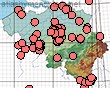 Distribution de Dasypoda hirtipes en Belgique