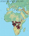 Lipotriches paludis