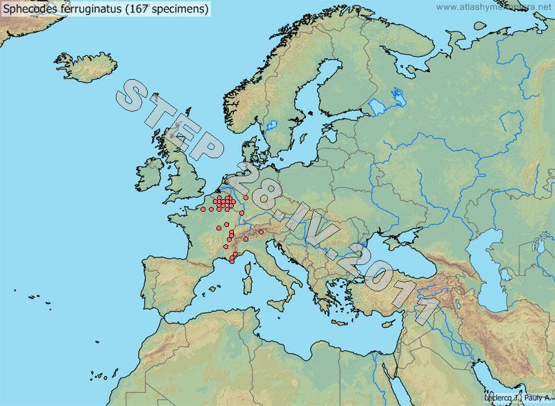Atlas of European bees - STEP Project