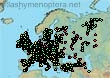 Bombus barbutellus (6117 specimens)