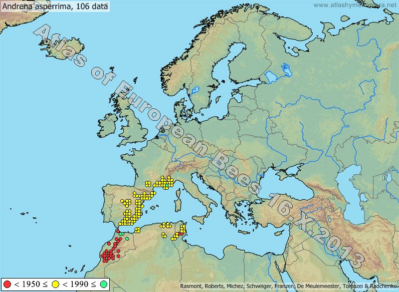 Andrena asperrima, 106 data