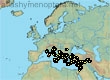 Andrena brumanensis, 88 data