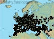 Andrena flavipes, 16502 data