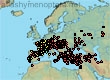 Andrena limata, 535 data