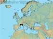 Andrena maroccana, 2 data