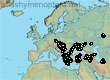 Andrena nobilis, 138 data
