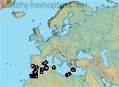 Andrena poupillieri, 34 data