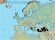 Andrena quadrimaculata, 24 data