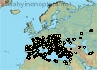 Andrena taraxaci, 485 data